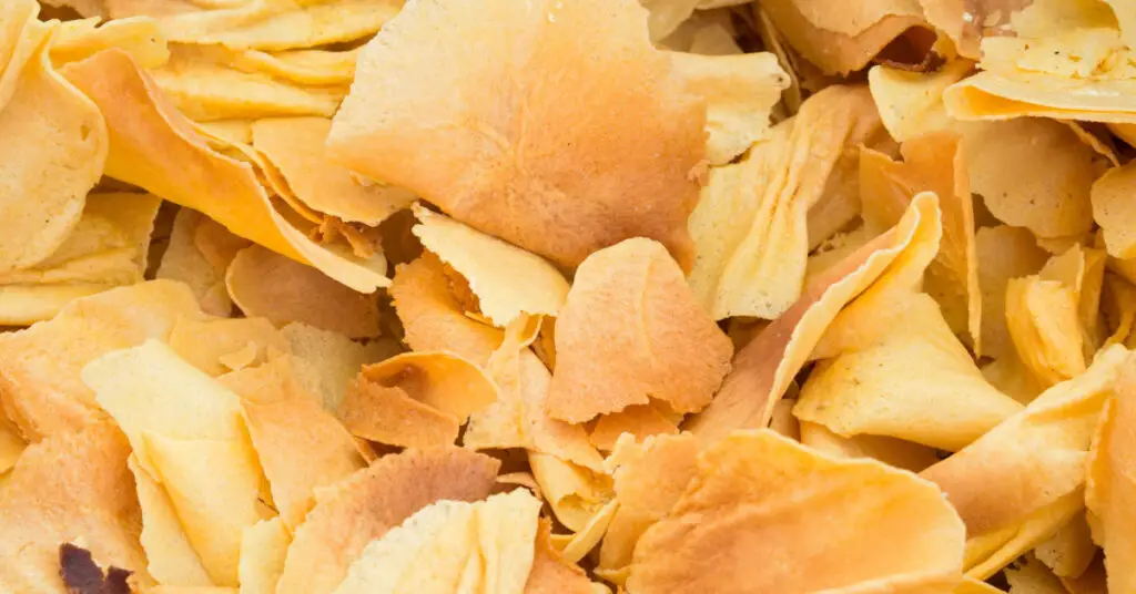 A group of Brigidini from Lamporecchio, they look like lots of yellow chips with an irregular shape.