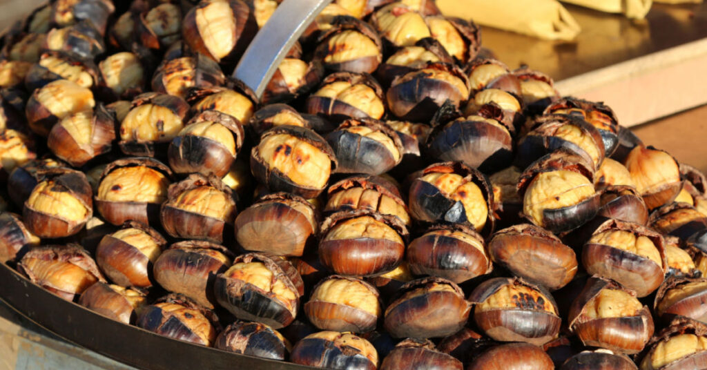 Many roasted chestnuts lined up, after roasting the shell burns and cracks and shows the yellowish inside of the chestnut.