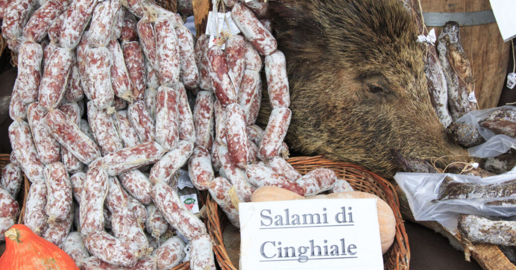 An exhibition of wild boar salami, hanging in a row near a wild boar's head.