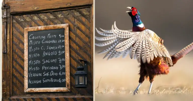 Pheasant Meet Isn’t Italy’s ‘Everyday Bird’—The Feathered A-Lister