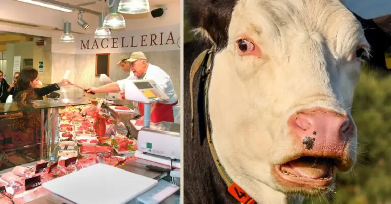 Do Italians Really Eat Cow’s Face? Chewing on the Details