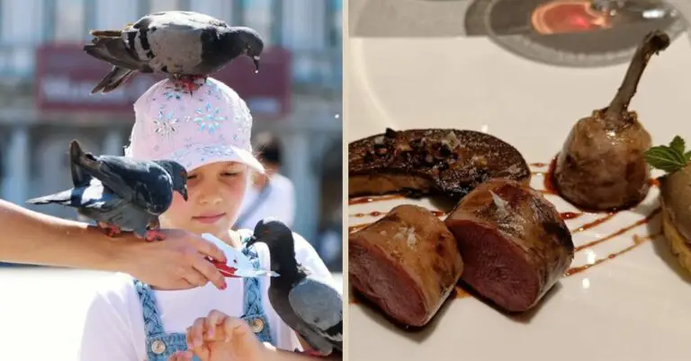 Do Italians Really Eat Pigeons? Italy’s Hush-Hush Gourmet Secret