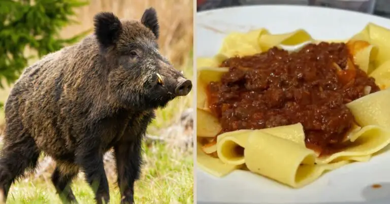 Italians Eat Wild Boar? Decoding Italy’s Wild Obsession