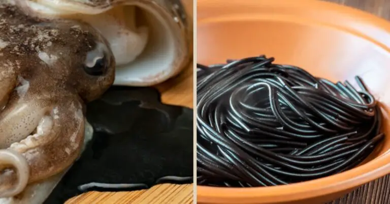 Ink-ling into Italian Gastronomy: Squid Ink or Cuttlefish?