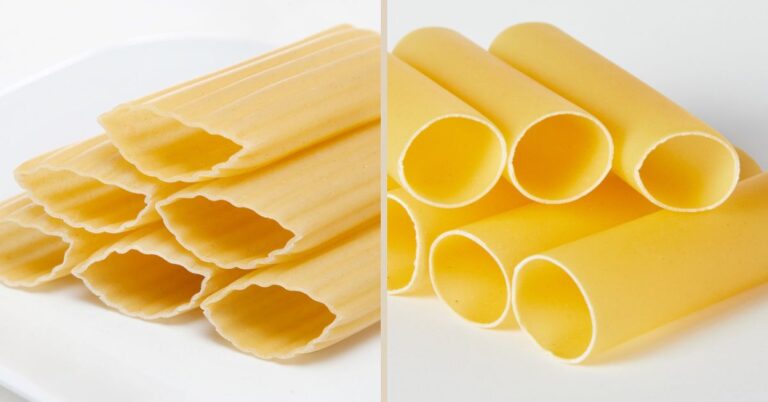 Manicotti vs. Cannelloni: The Difference That Divides Italian Cuisine!