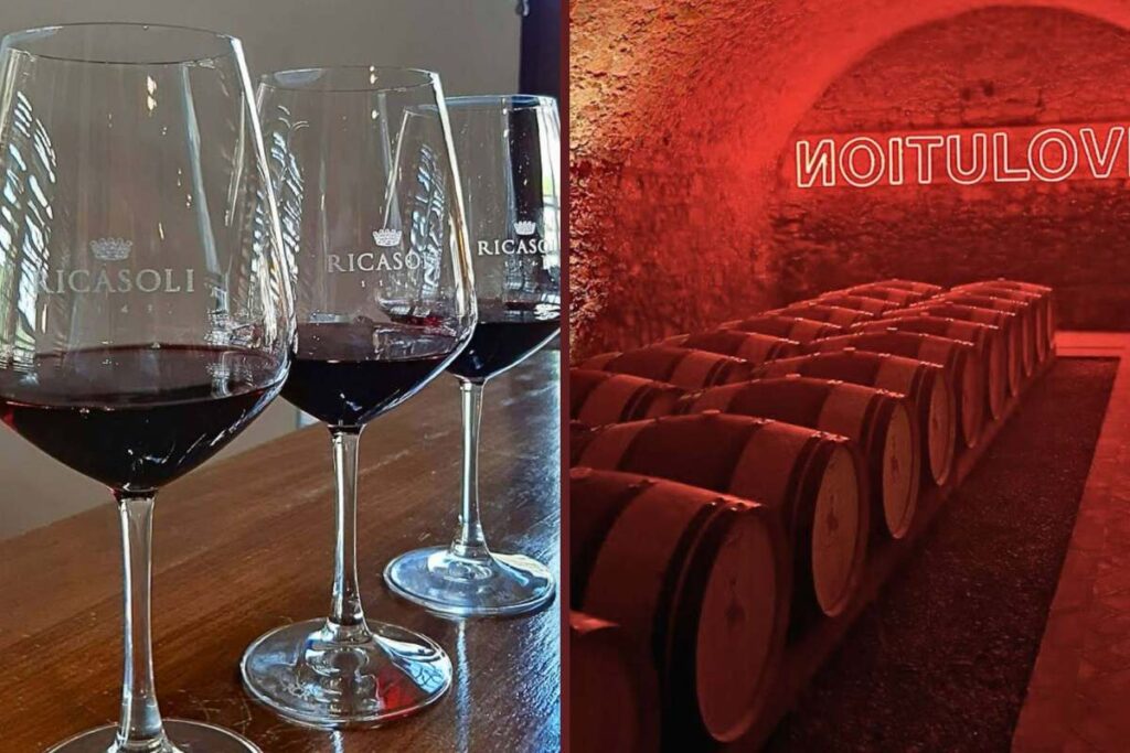 Explore the Finest Tuscan Wine Tours: Experience Premier Wineries and ...