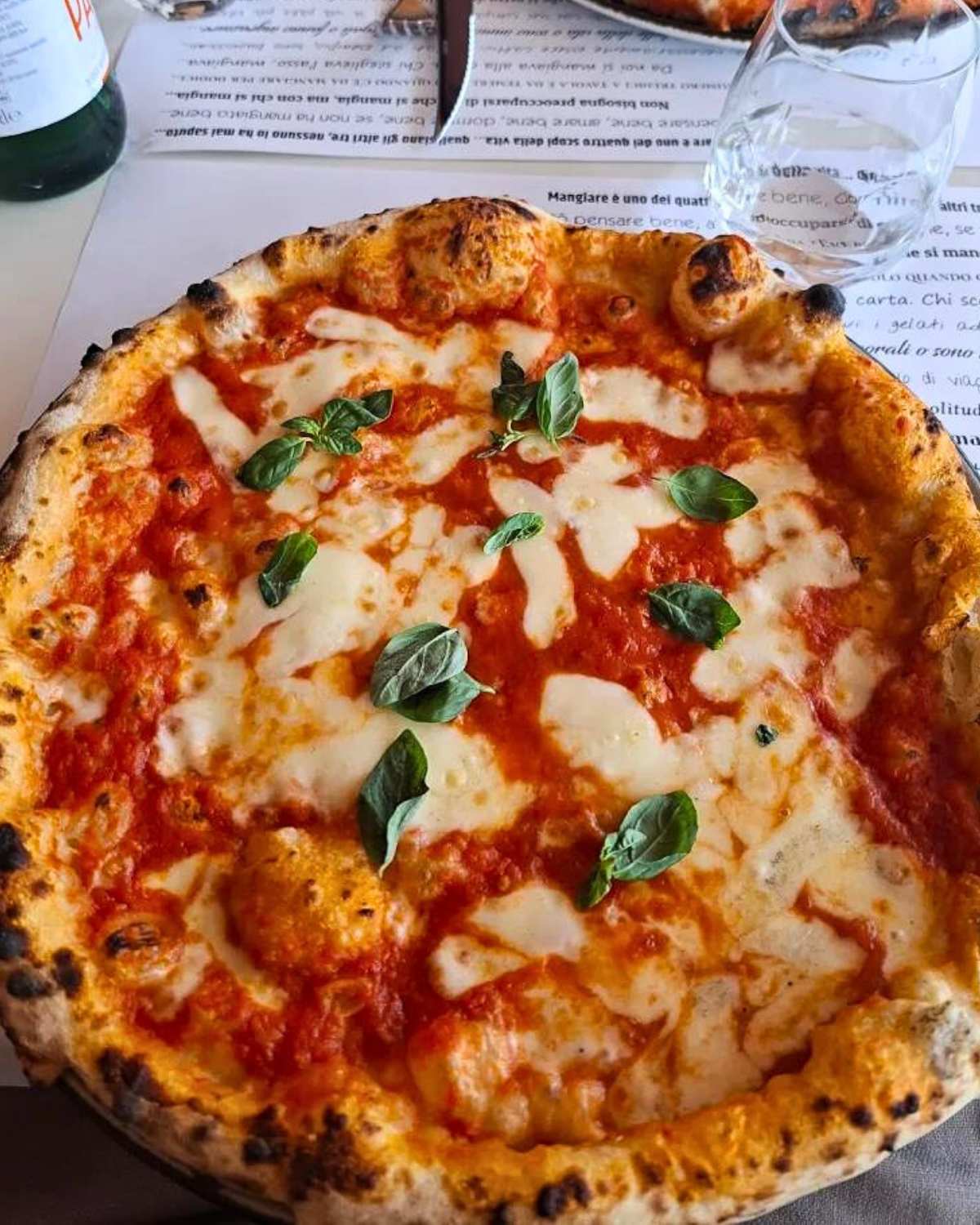 pizza & pasta by siena trier